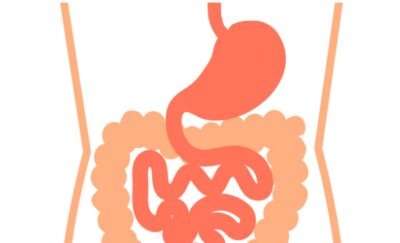 胃腸アニメ画像